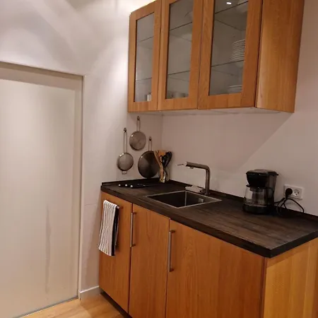 Bright With Nice Atmosphere In City Center Appartement Roskilde